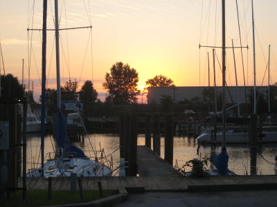 IMG_3175.jpg