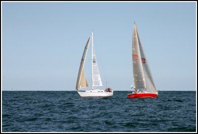 IMG_9437.jpg