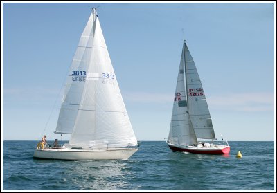 IMG_9498.jpg