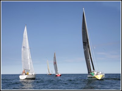 IMG_9501.jpg