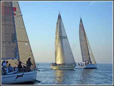 IMG_3513.jpg