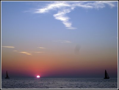 IMG_3534.jpg