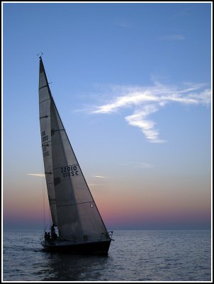 IMG_3539.jpg