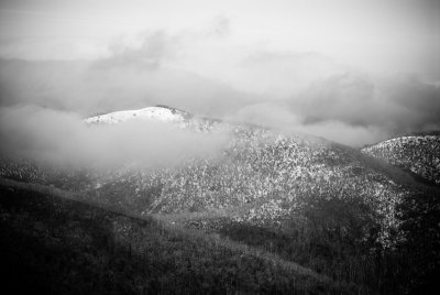 hotham2006