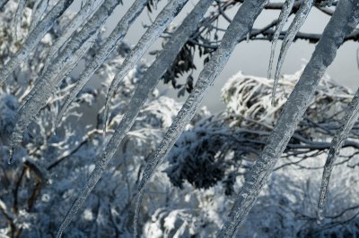 _DSC8181.jpg