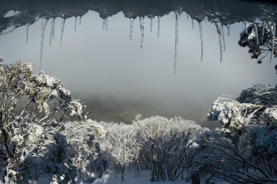 _DSC8185.jpg