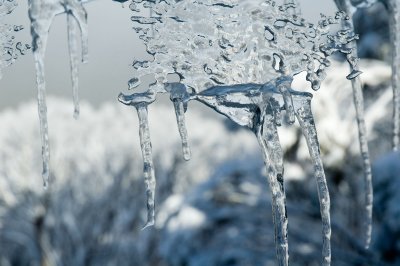 _DSC8186.jpg