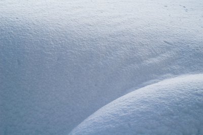 _DSC8204.jpg