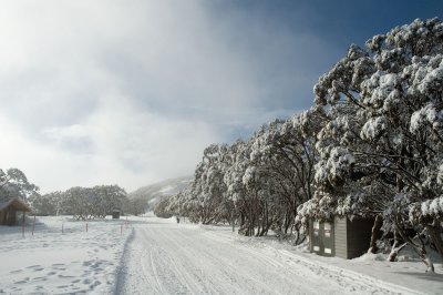 _DSC8216.jpg