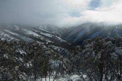 _DSC8224.jpg