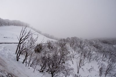 _DSC8322.jpg