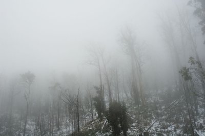 _DSC8534.jpg