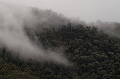 hotham2005