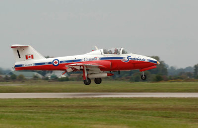 Snowbird taking off