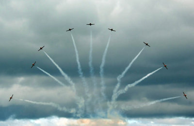 Cloud of Snowbirds