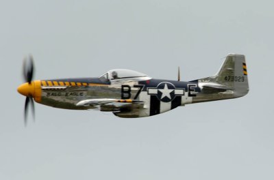 Mustang P51 Bald Eagle