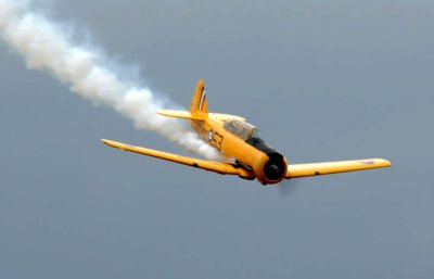 AirShow 263_2007.jpg