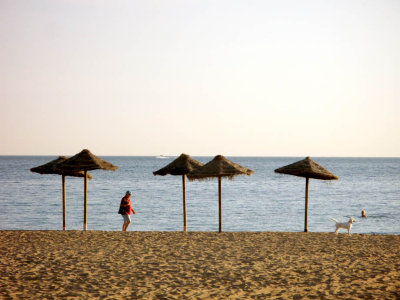 Denia Beach Walking Dog