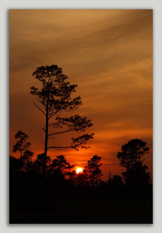 Roanoke Island 118