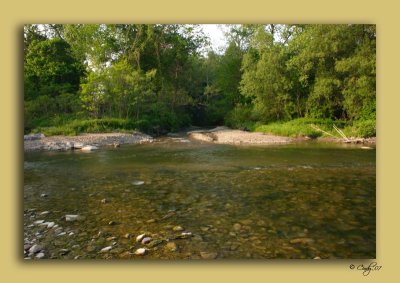 Creekside in Springtime 08