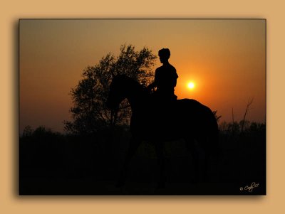 Horseback in the sunset