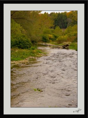 Autumn Colors 29