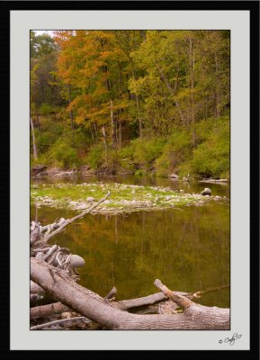 Autumn Colors 33