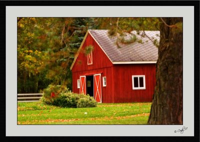 Autumn Colors 39