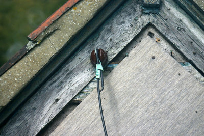 Sigma 600mm Mirror Lens