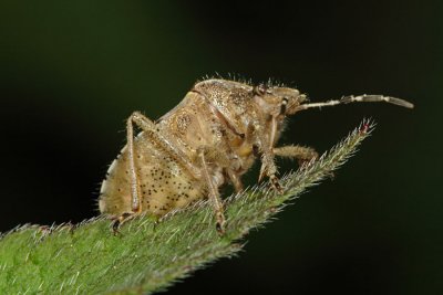 IMG_0334.jpg