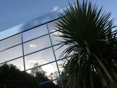 Reflections: Bracknell Blue
