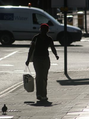 March 13 2007:Redcap