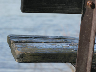 March 18 2007: The Bench by the Lake