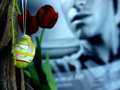 April 5 2007:   Easter Egg Hunt