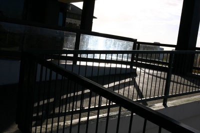 Concrete Jungle