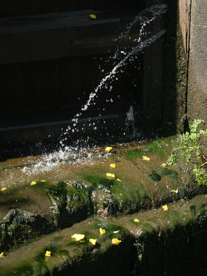 May 18 2007:  Overflow