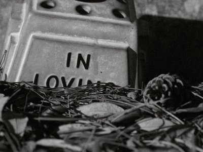 July 30 2007: In Loving