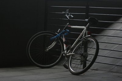 August 15 2007: The Bike