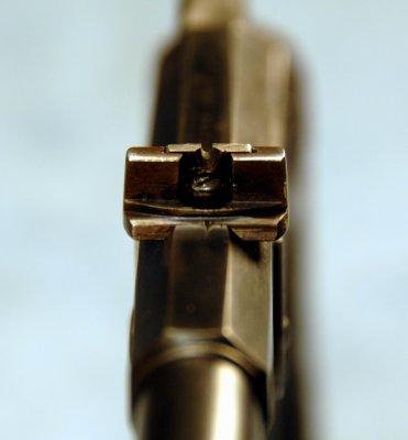 Rear Barrel Sight Detail