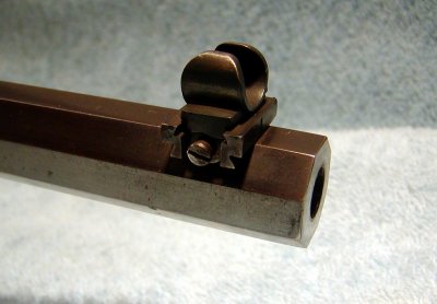 Front Sight Detail