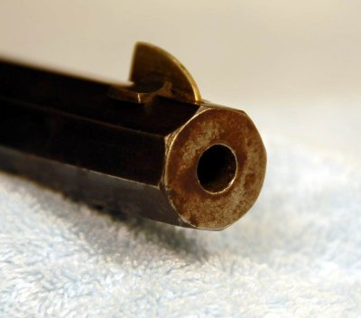 Detail:  Muzzle and Front Barrel Sight