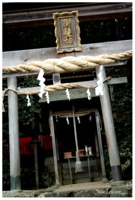 t003.jpg