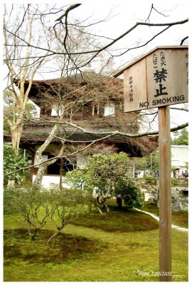 t017.jpg