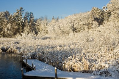 Fish Hatchery Bay