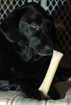 March 17, 2007