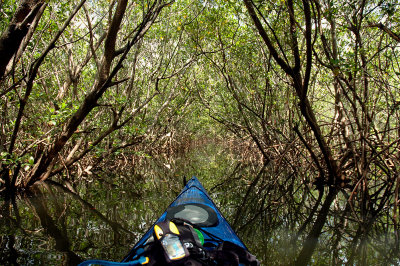 Kayak_web5371.jpg