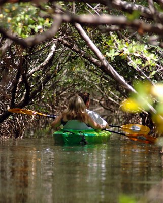 weedon_island_preserve