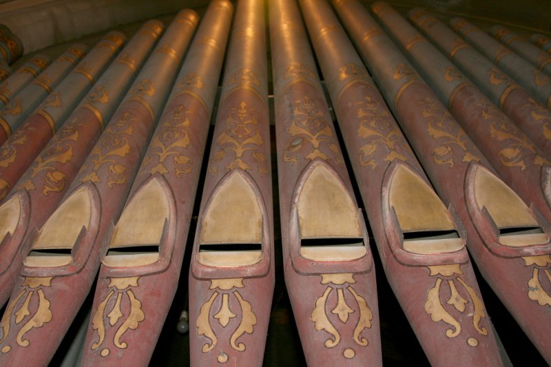 The organ pipes.