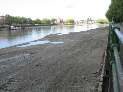 Looking upriver from Bishops Park.