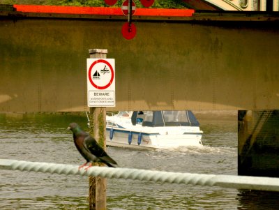 Useless signs have invaded our waterways.